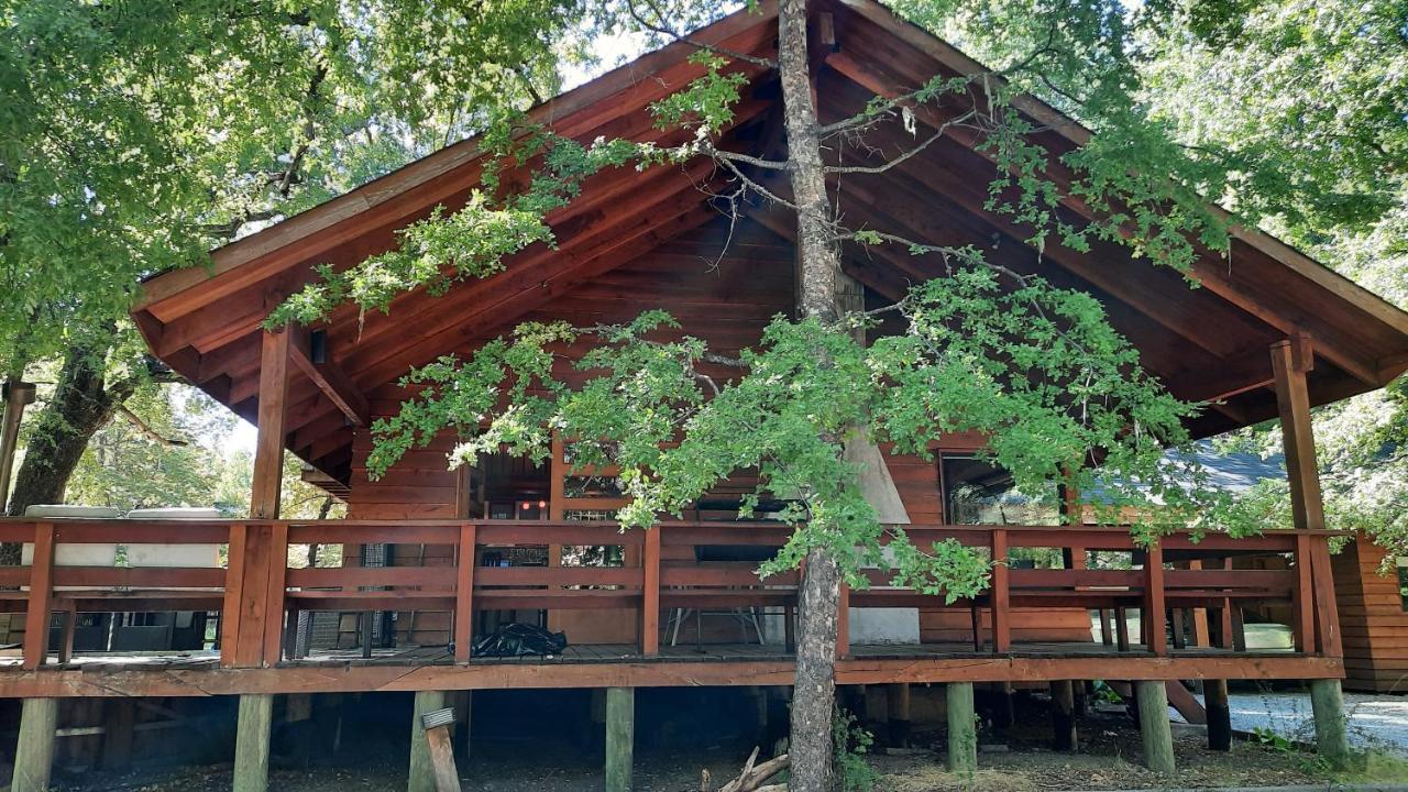 Agradable Casa Cerca De Las Termas De Chillan Las Trancas Dış mekan fotoğraf