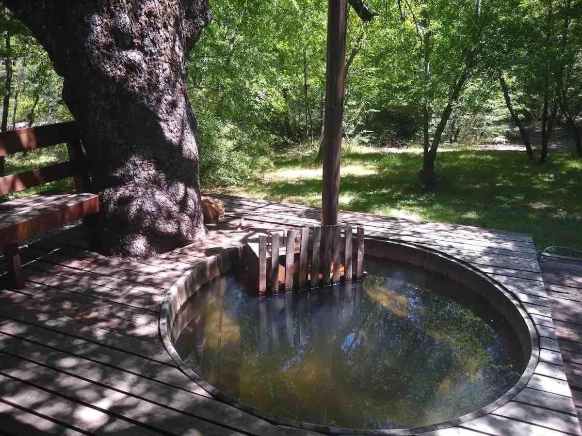 Agradable Casa Cerca De Las Termas De Chillan Las Trancas Dış mekan fotoğraf